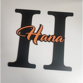 Drevená menovka na dvere s iniciálou a menom