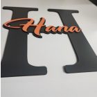 Drevená menovka na dvere s iniciálou a menom